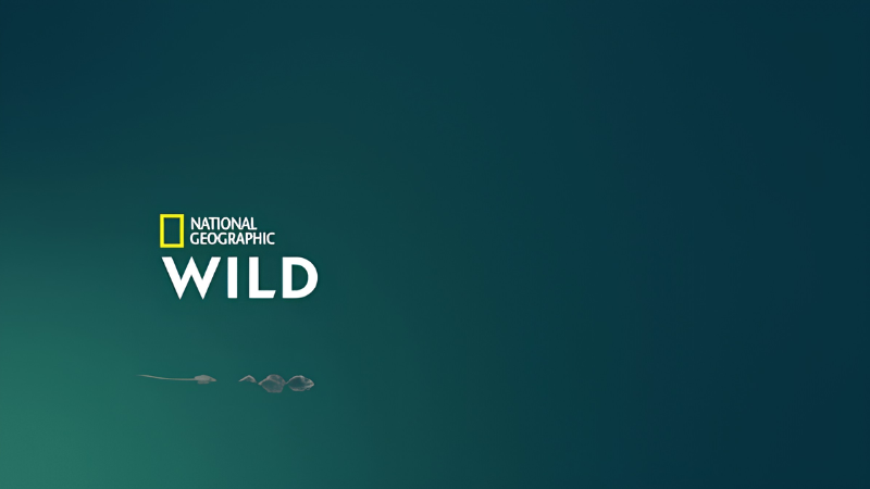 NAT GEO WILD